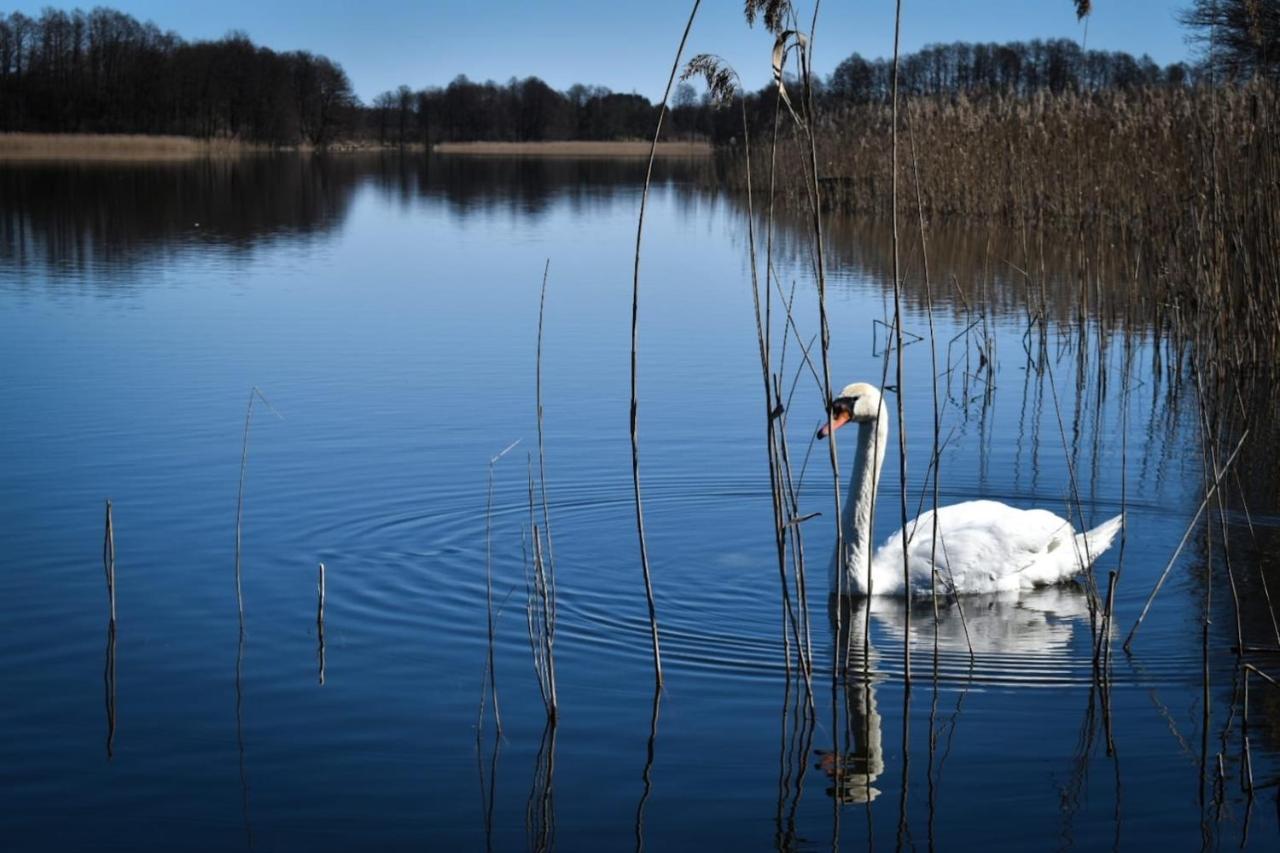 Pokoje Lotnik Nad Jeziorem Mrągowo Exteriör bild